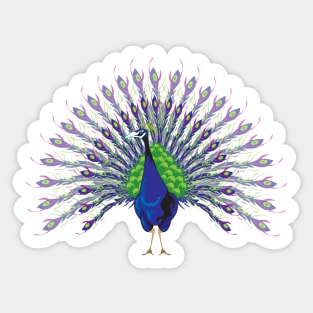 Peacock Sticker